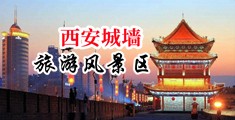 双腿白浆白丝护士高潮中国陕西-西安城墙旅游风景区